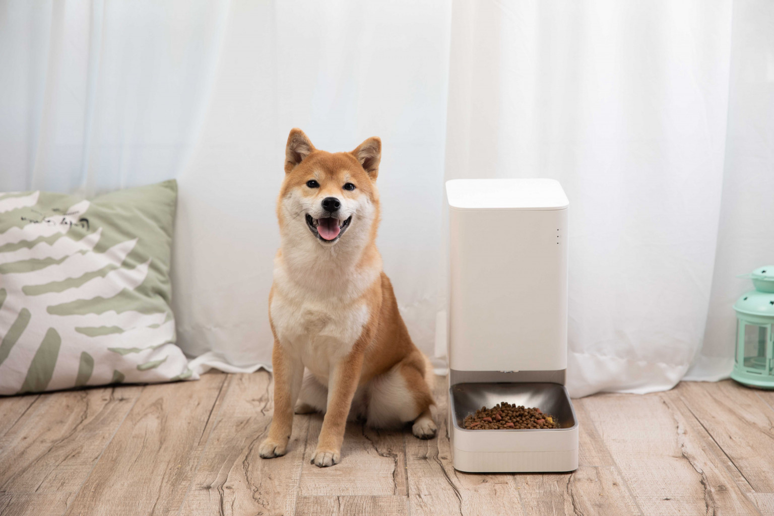 Xiaomi Smart Pet Food Feeder เครื่องให้อาหารสัตว์อัจฉริยะ ผลิตจากสแตนเลส 304 Food grade สินค้ารับประกัน 1 ปี