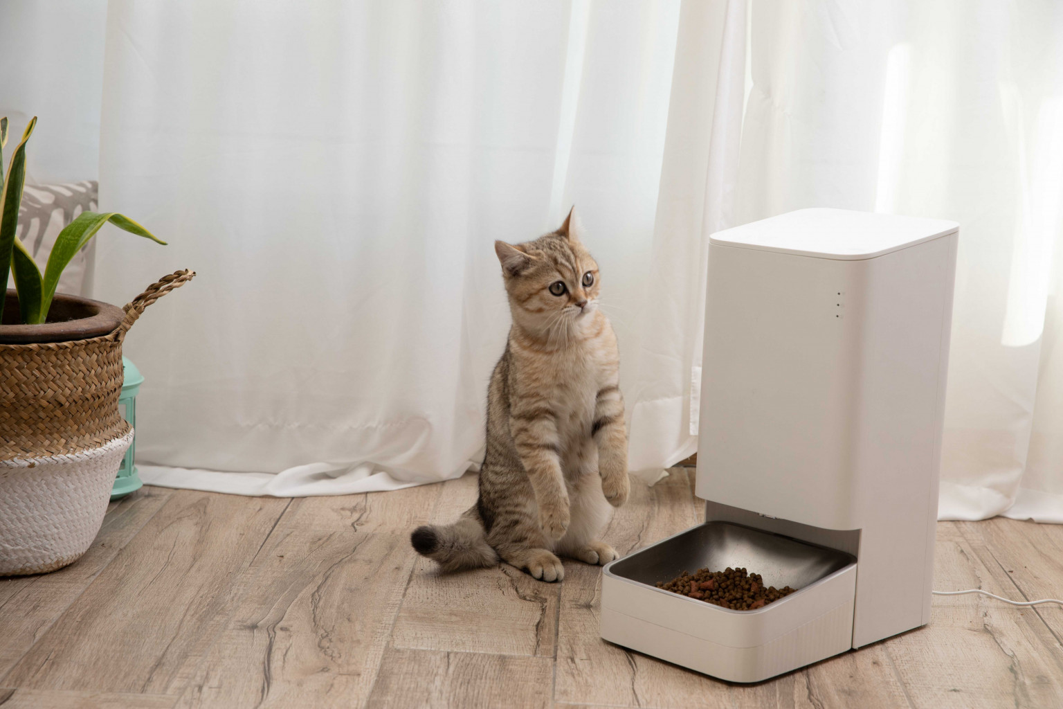 Xiaomi Smart Pet Food Feeder เครื่องให้อาหารสัตว์อัจฉริยะ ผลิตจากสแตนเลส 304 Food grade สินค้ารับประกัน 1 ปี