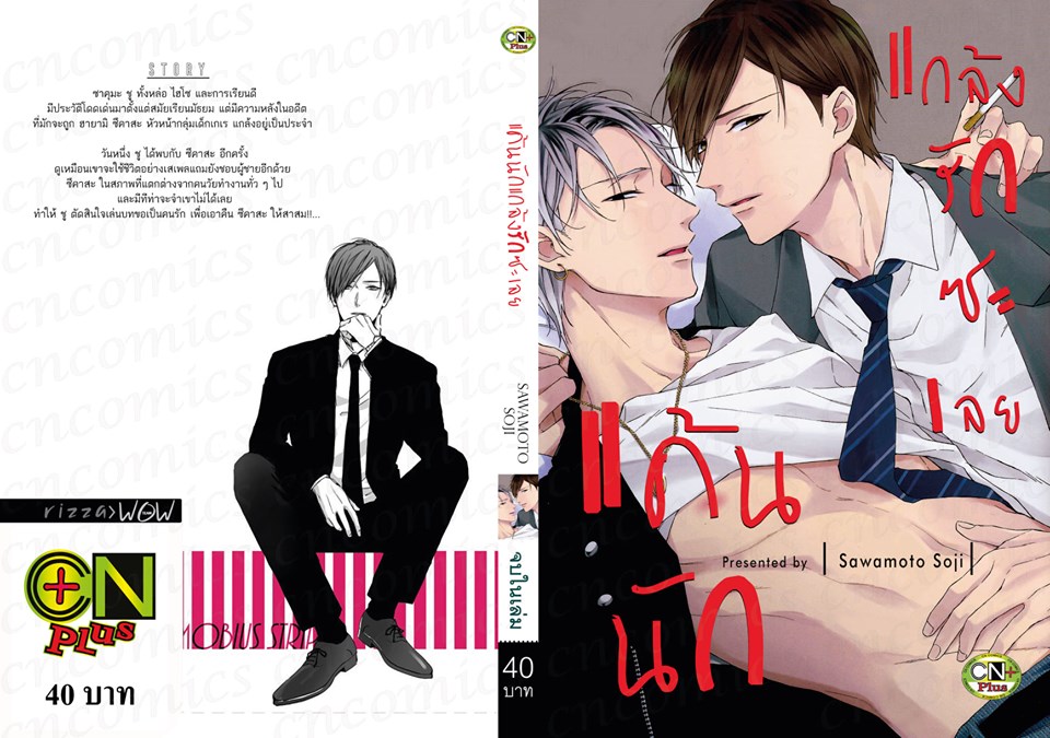 แค้นนักแกล้งรักซะเลย : SAWAMOTO SOJI