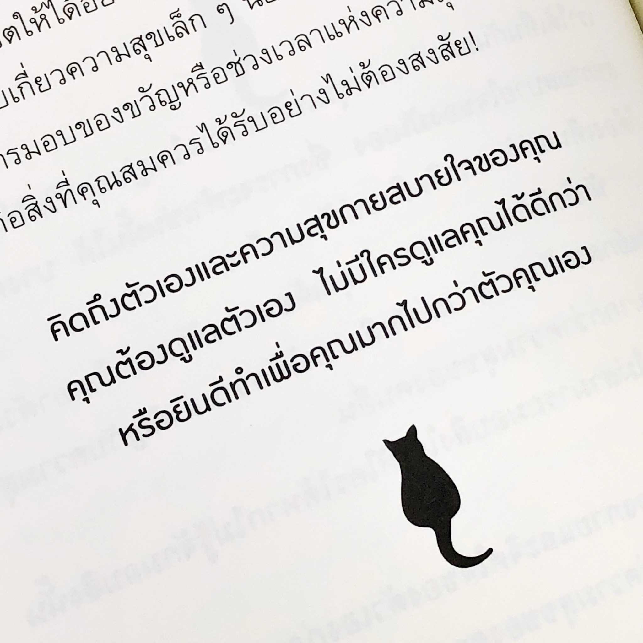 หนังสือ เมื่อแมวที่บ้านคุณผันตัวมาเป็นไลฟ์โค้ช