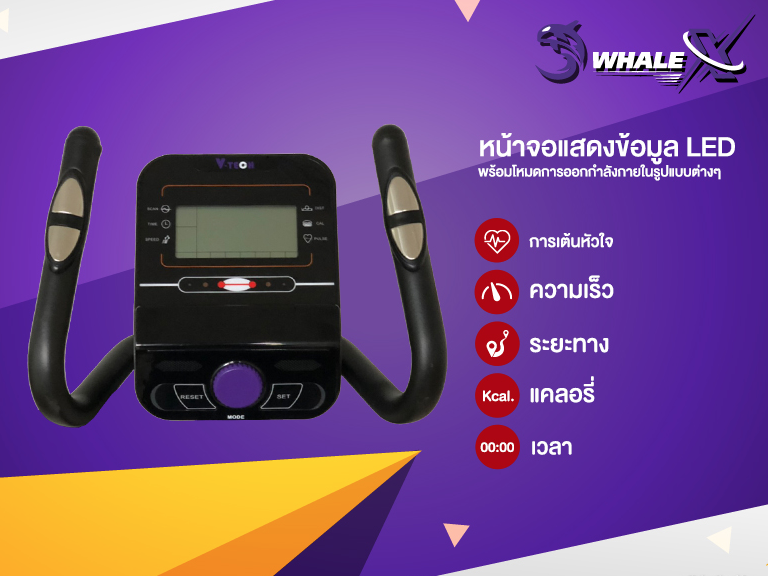Elliptical เครื่องเดินวงรี V-Tech รุ่น WHALE-X ลดเพียบ! ติดต่อ