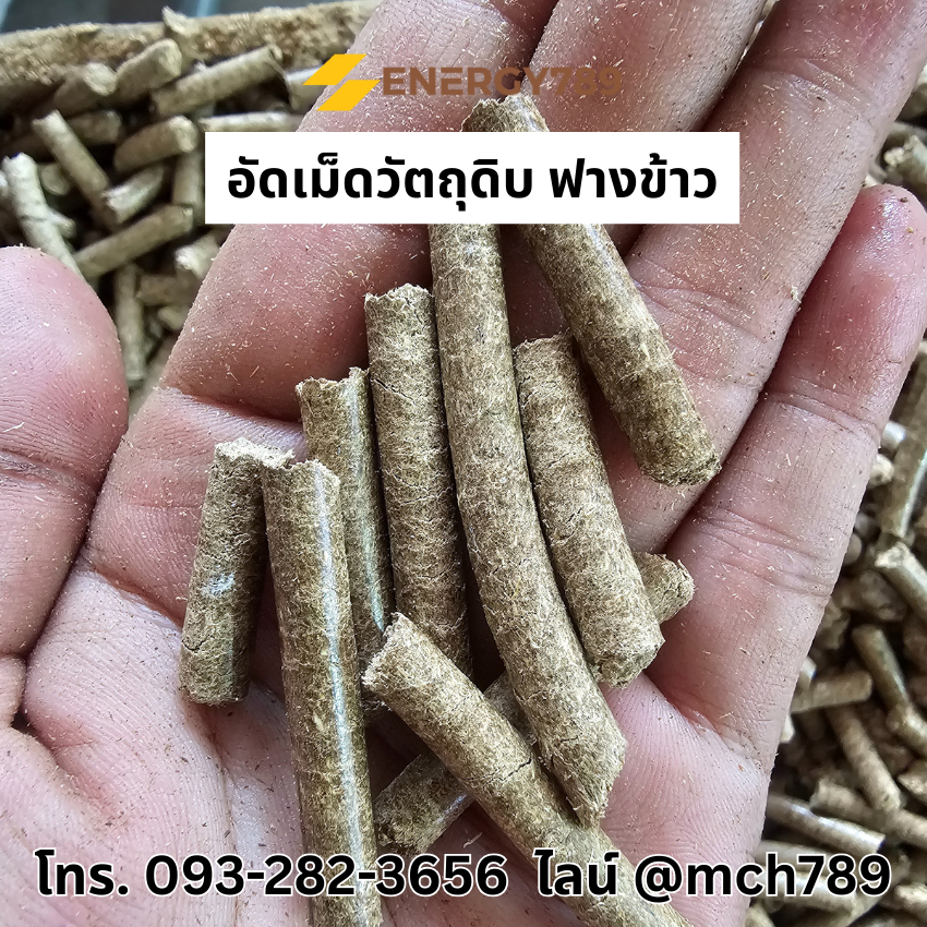 เครื่องอัดเม็ดเชื้อเพลิงชีวมวล รุ่น NaturePress-2 7.5KW/380V เครื่องอัดเม็ดเชื้อเพลิงชีวมวล เครื่องอัดแท่งชีวมวล เครื่องอัดเม็ดรุ่นเล็ก Wood pellet mill