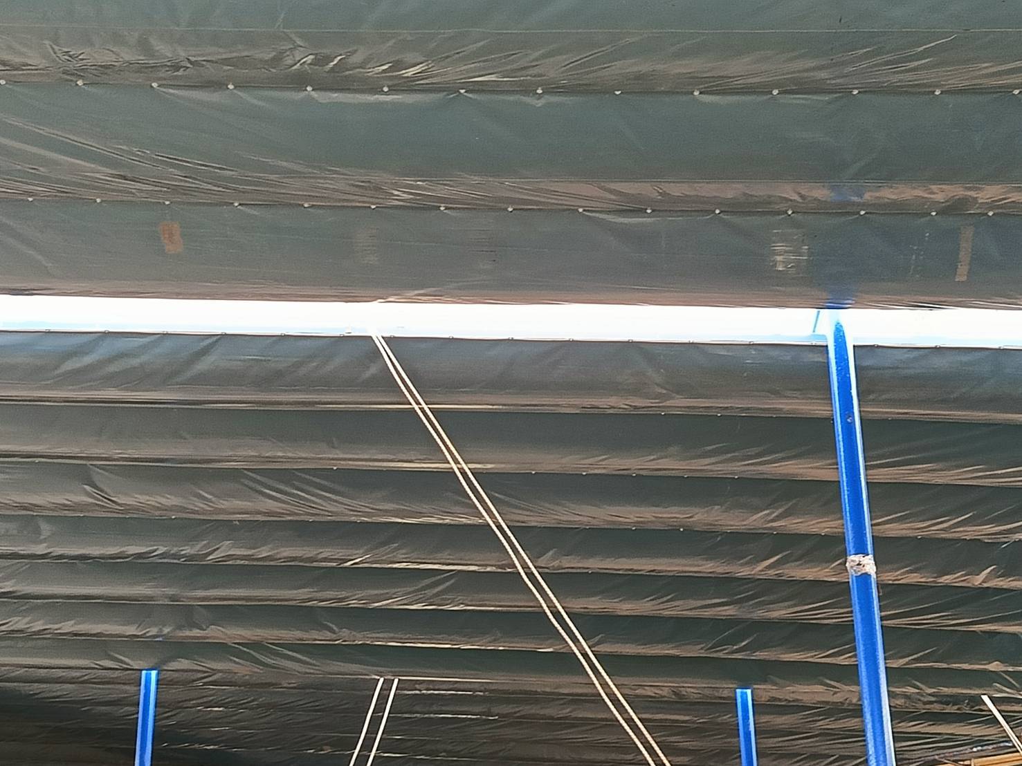 pabaithai ตรัง โรงไม้