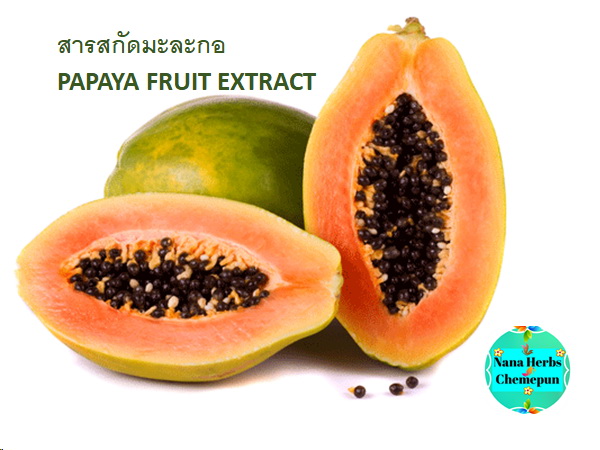 สารสกัดมะละกอ PAPAYA FRUIT EXTRACT(Thai)