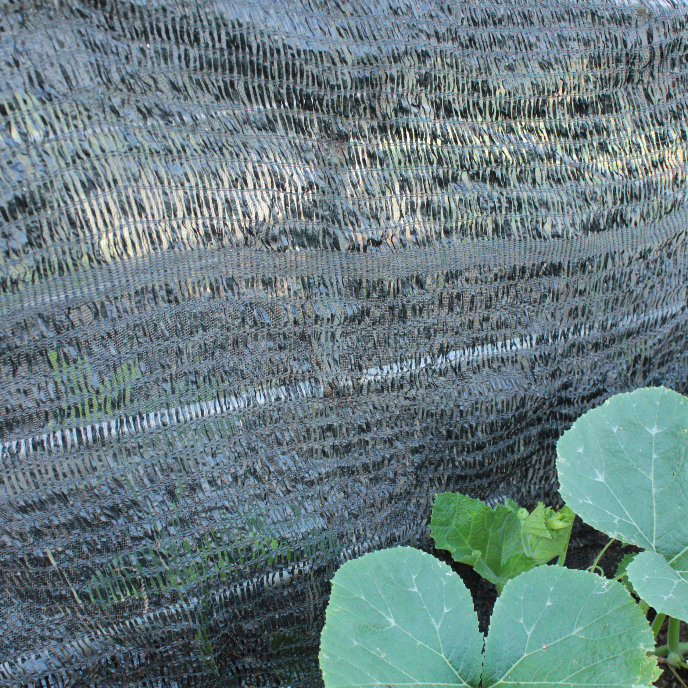 สแลนตาข่ายกรองแสงสีดำแบบม้วนสูง2เมตรเหมาะกับใช้จำนวนมากหรือจำหน่าย