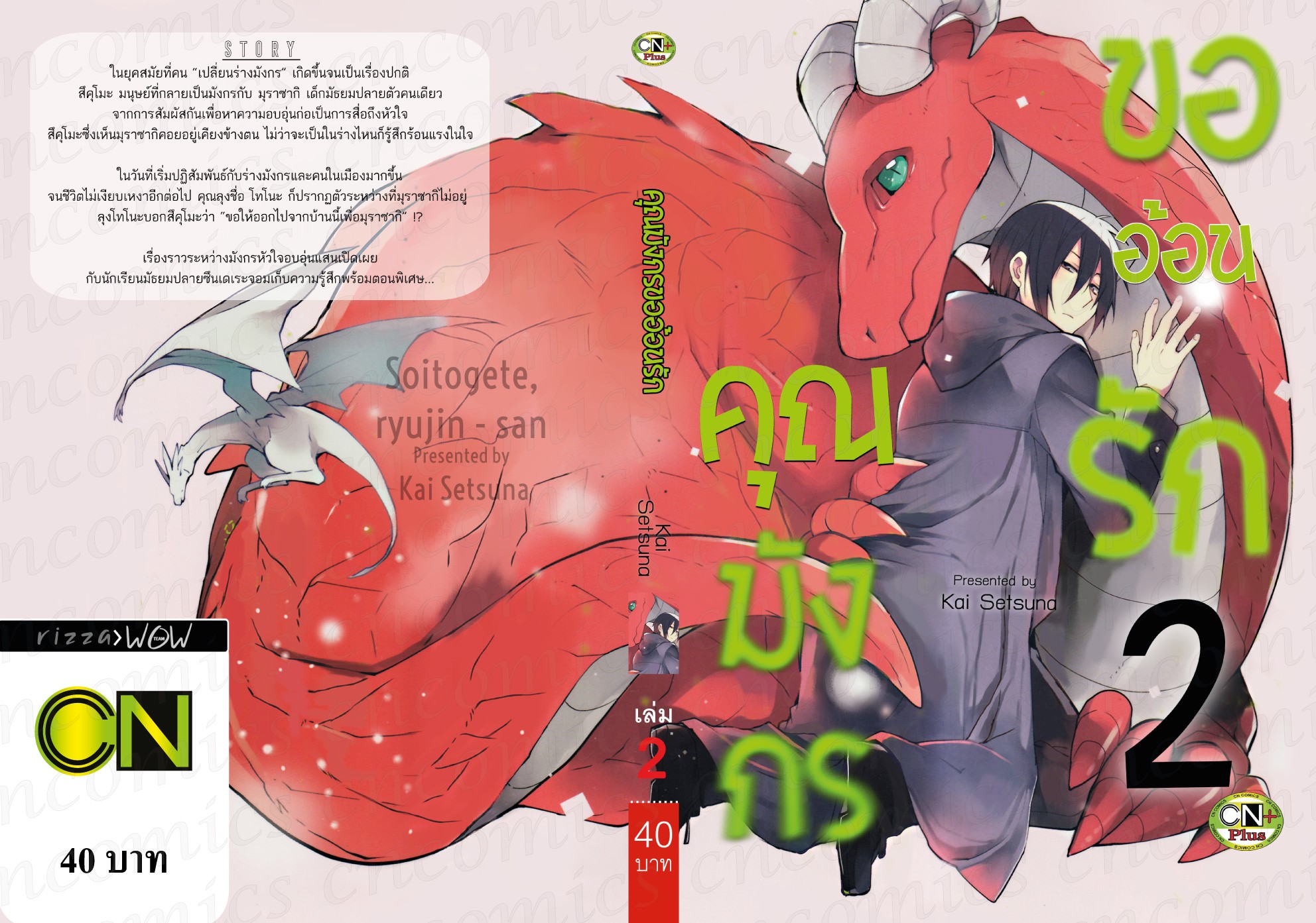 คุณมังกรขออ้อนรัก เล่ม 2 : Kai Setsuna