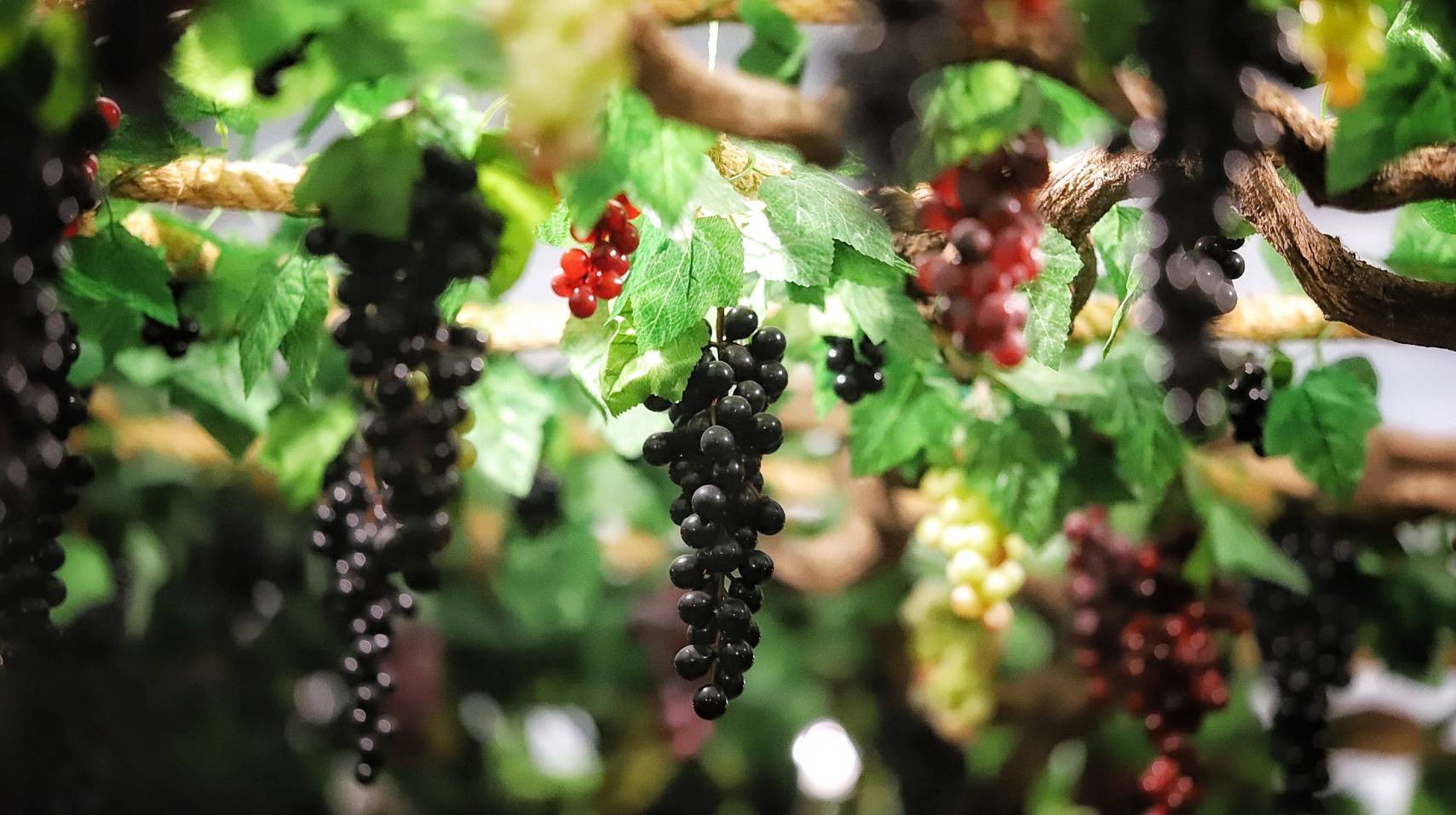 Dry Red Wine,ไวน์แดงไม่หวาน