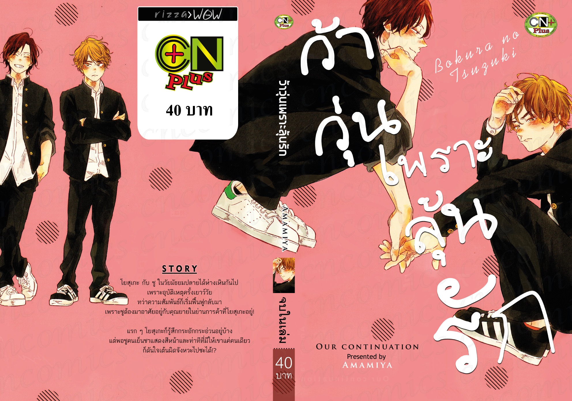 ว้าวุ่นเพราะลุ้นรัก : AMAMIYA