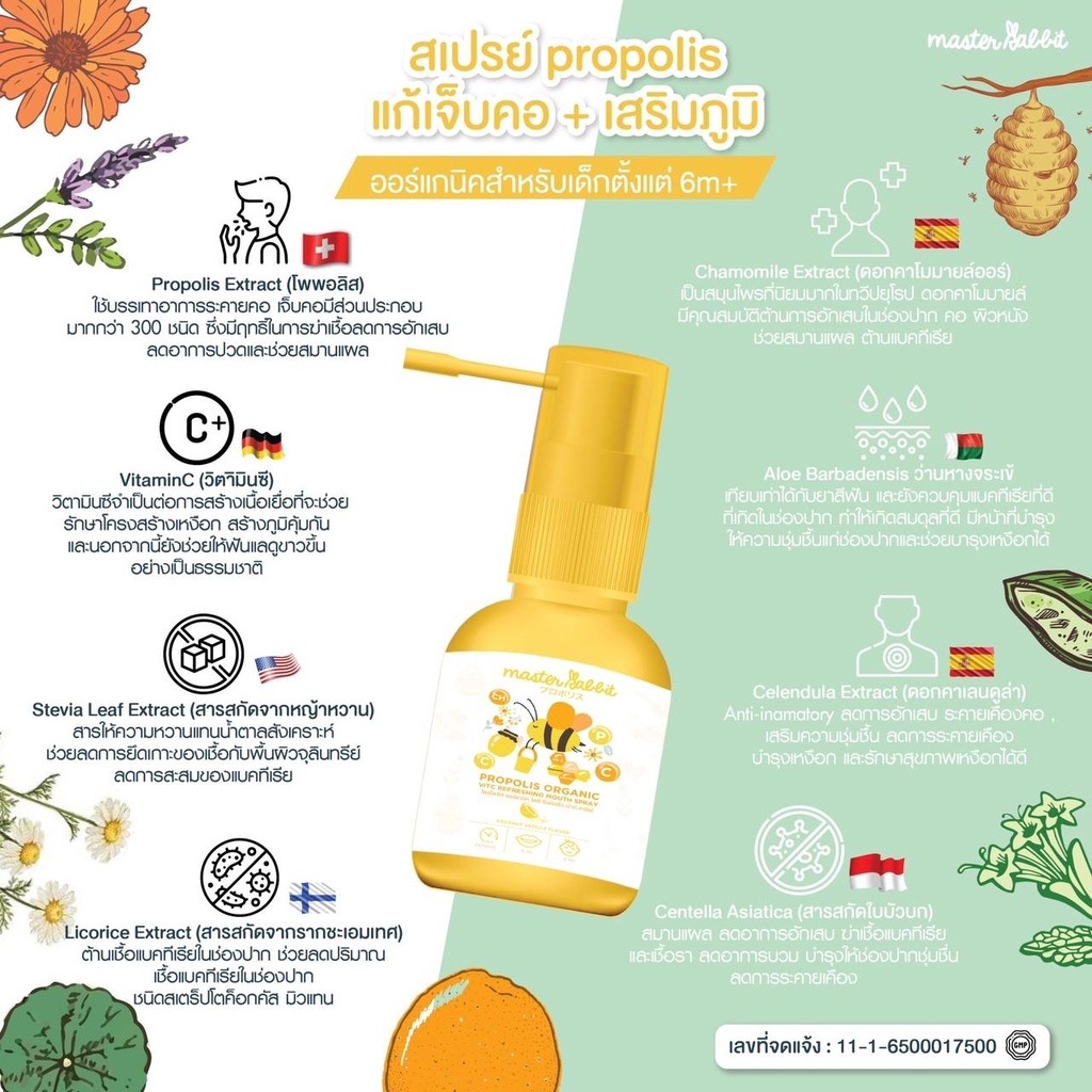 สเปรย์แก้เจ็บคอ Master Rabbit Propolis ฆ่าเชื้อในลำคอ แก้เจ็บคอ ปวดฟัน ร้อนใน ละลายเสมหะ