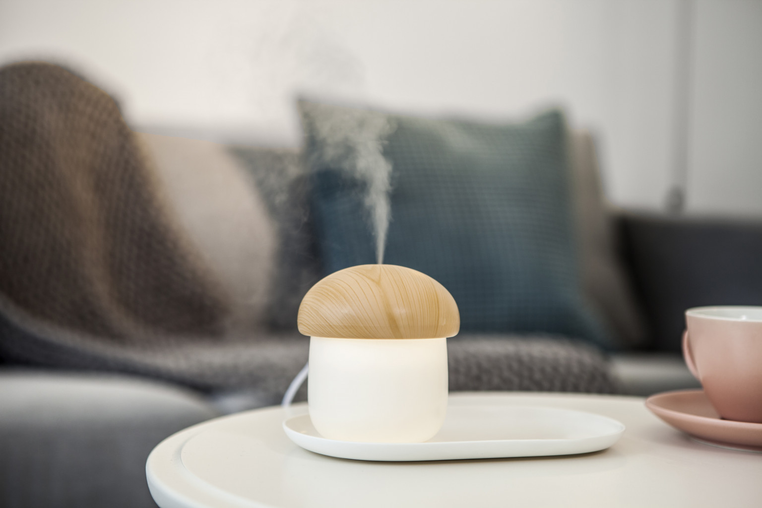 Jisulife JM02 Mushroom LED Humidifier เครื่องทำความชื้น พร้อมไฟ LED พ่นไอน้ำระดับ Nano ประกันศูนย์ 6 เดือน