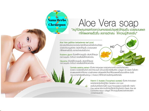 เบสกลีเซอรีนใสผสมว่านหางจระเข้เข้มข้น Aloe Vera Glycerin Soap Base(SLS,SLES FREE)