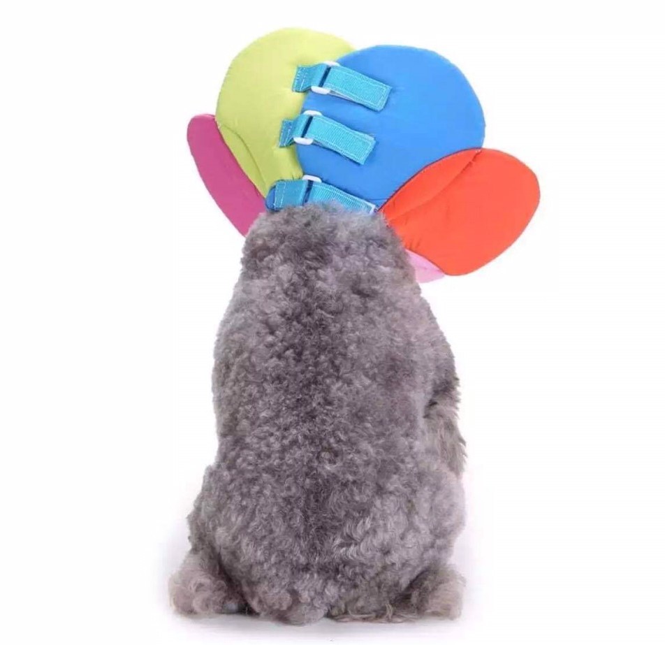 คอลล่าร์ปลอกคอกันเลีย ลายดอกไม้ ไซส์.XL (รวมส่ง)