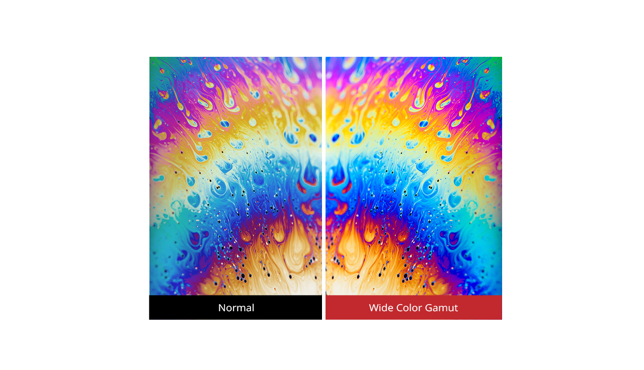 Monitor ViewSonic VX2458-C-MHD 24" Curved Gaming ประกันศูนย์ไทย