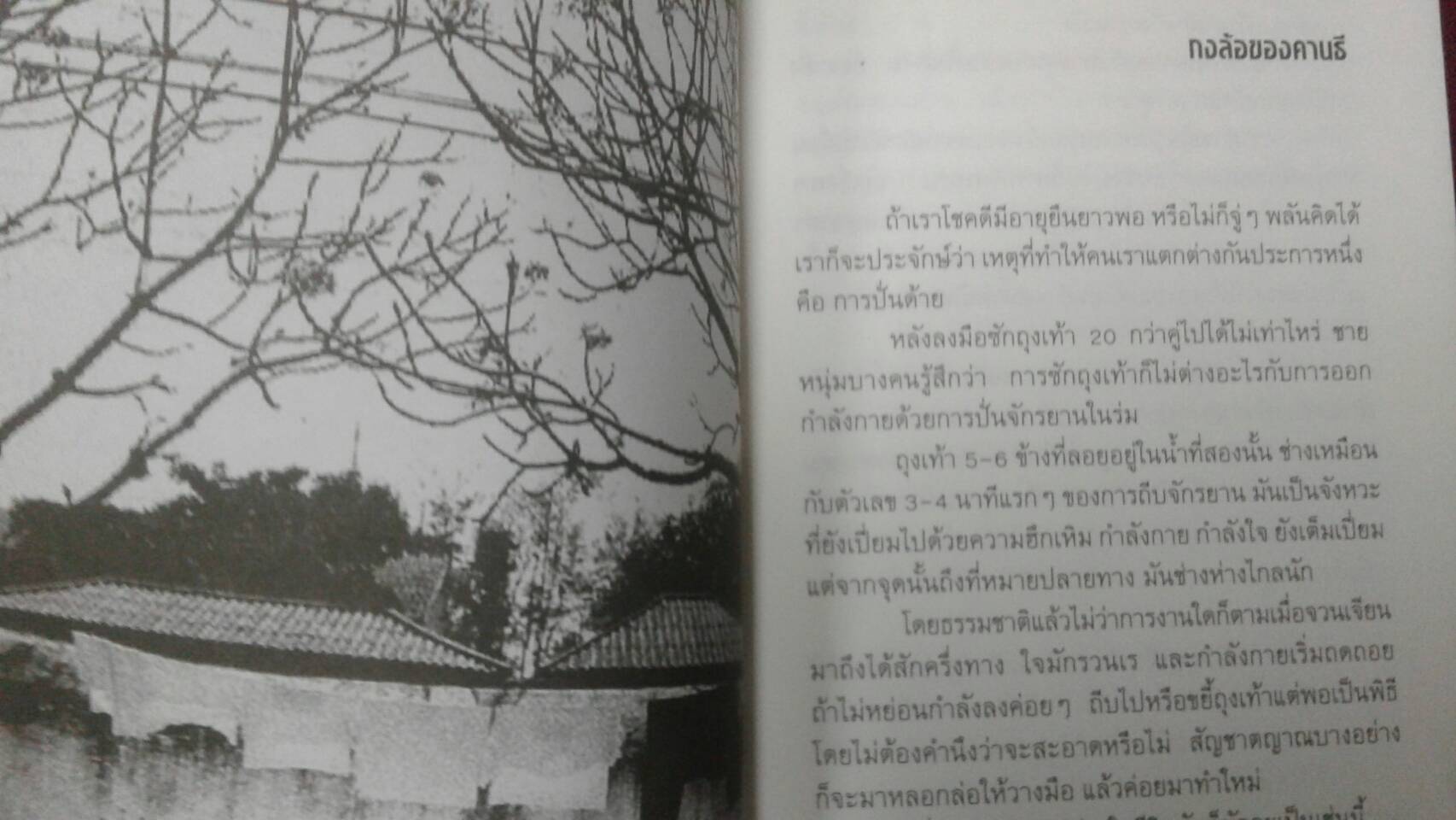 คลื่นข้างใน : กระบี่ไม้ไผ่