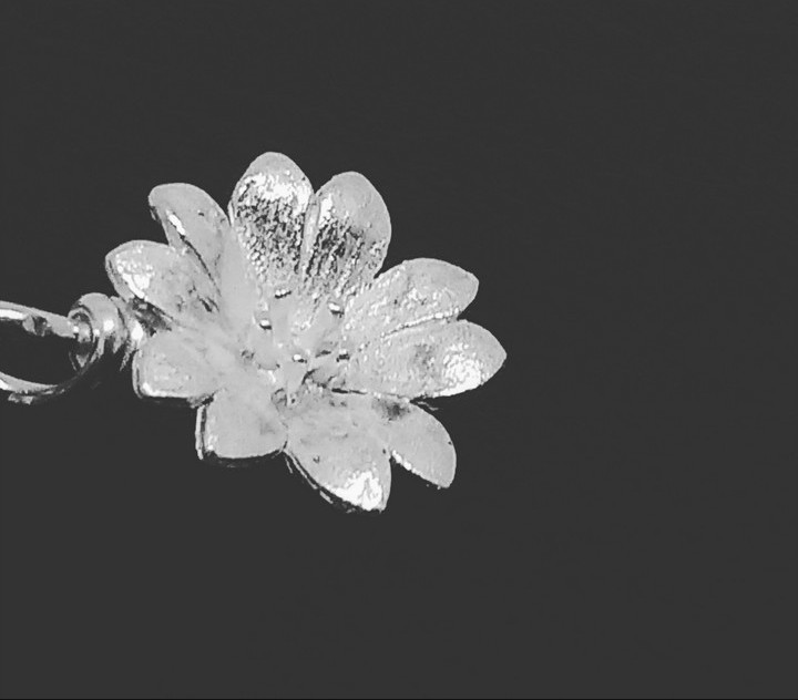 Necklace 5 Cosmos