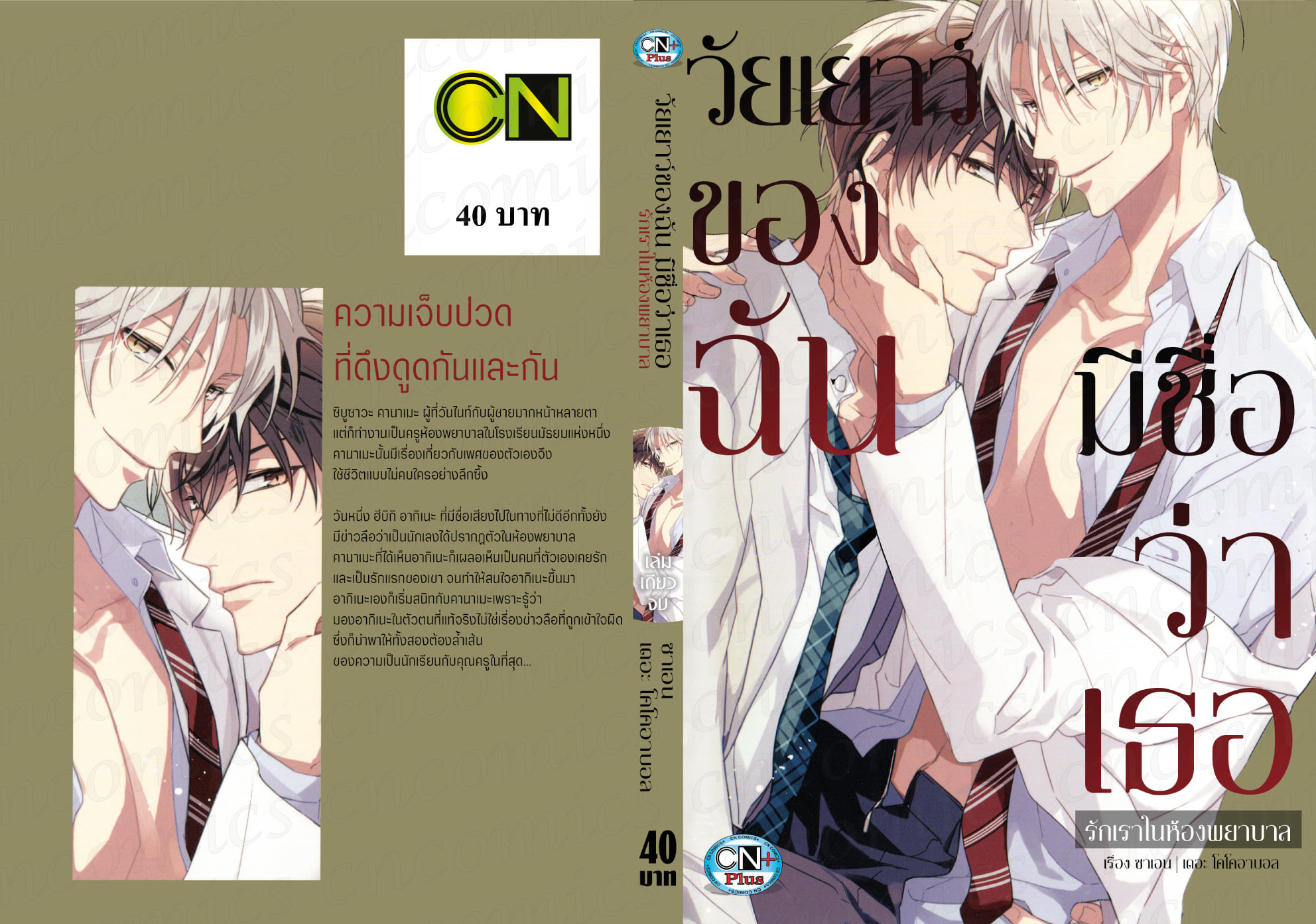 วัยเยาว์ของฉัน มีชื่อว่าเธอ - รักเราในห้องพยาบาล