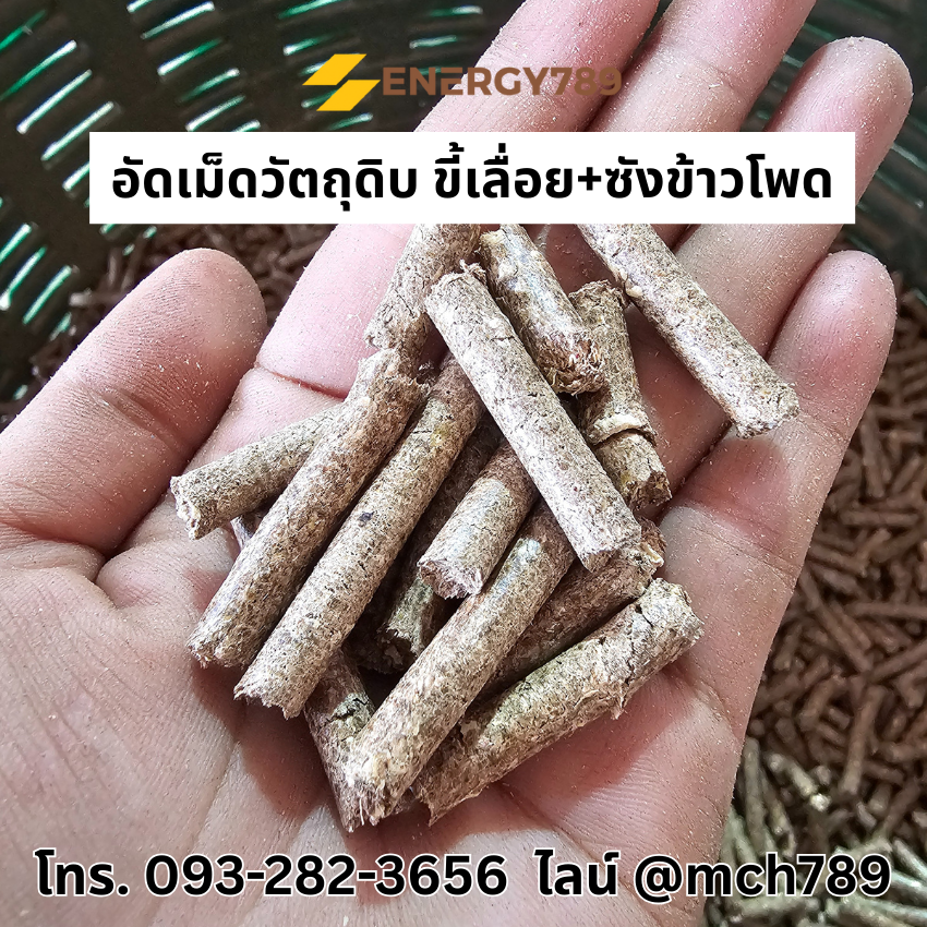 เครื่องอัดเม็ดเชื้อเพลิงชีวมวล รุ่น NaturePress-2 7.5KW/380V เครื่องอัดเม็ดเชื้อเพลิงชีวมวล เครื่องอัดแท่งชีวมวล เครื่องอัดเม็ดรุ่นเล็ก Wood pellet mill