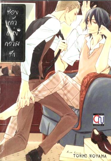 รองเท้าแห่งความรัก : TOHMI HOYAMA