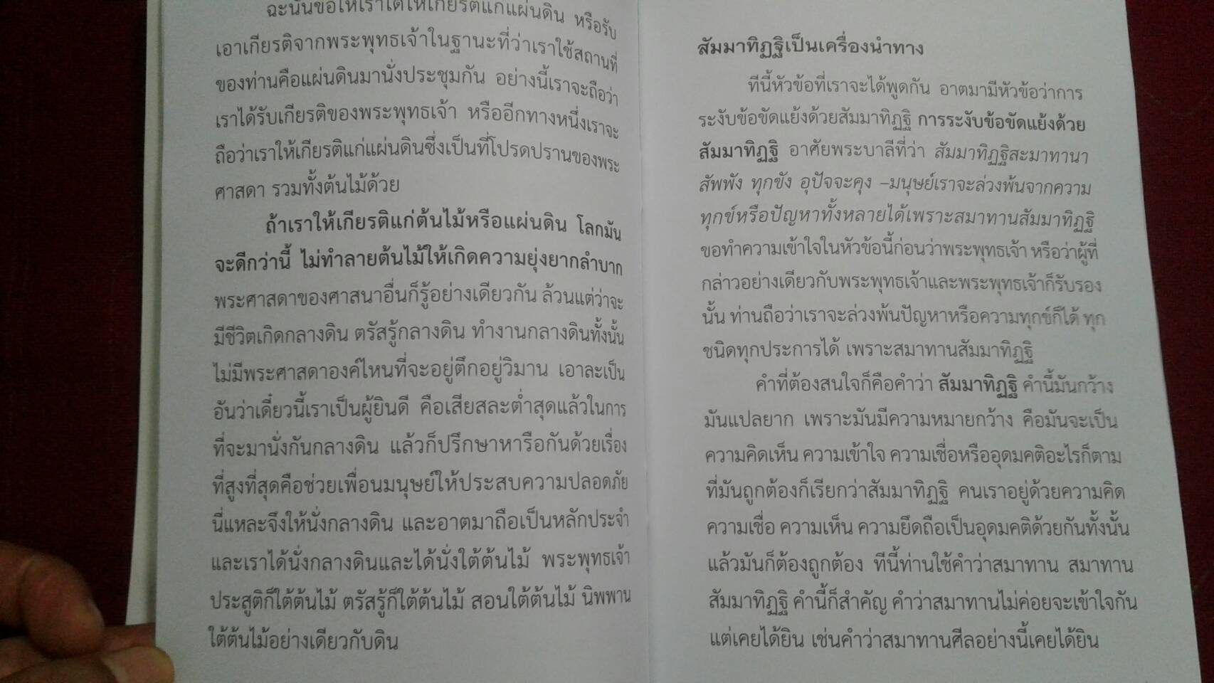 แก้ปัญหาด้วยสัมมาทิฏฐิ : พุทธทาสภิกขุ