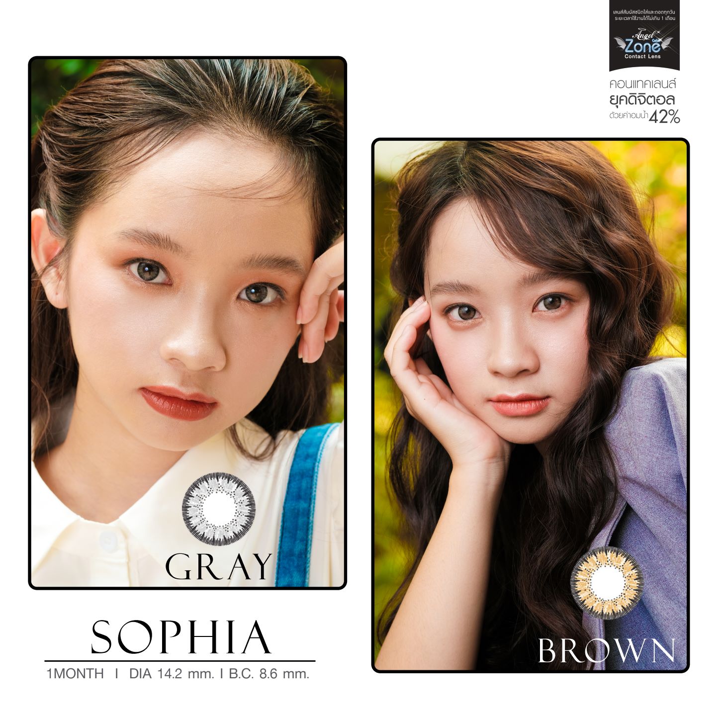 AZ128 รุ่น 14.2 Sophia Gray Step 1-3 AZ Y