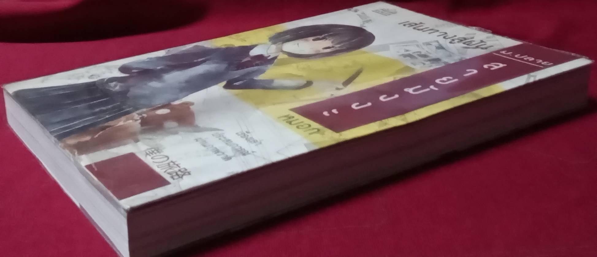เส้นทางสู่ฝัน ม.ปลาย สายมังงะ : หมอก