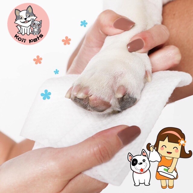 ผ้าเปียกทำความสะอาด Sukina Petto (รวมส่ง)