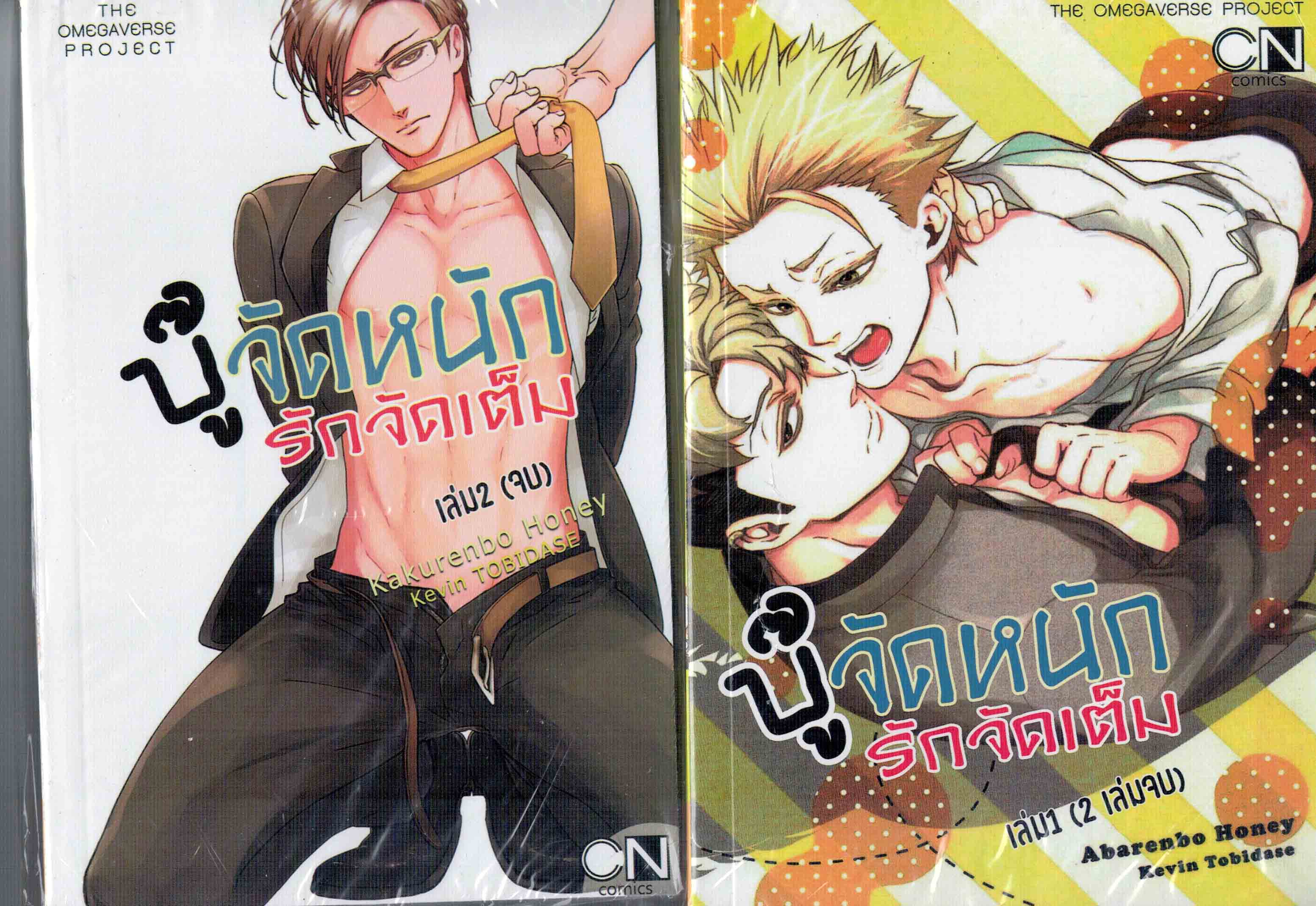 บู๊จัดหนักรักจัดเต็ม 2 เล่มจบ : Kevin TOBIDASE