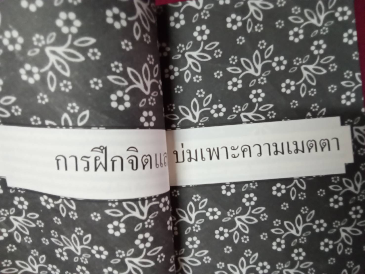 การฝึกจิตและบ่มเพาะความเมตตา Training the Mine: เชอเกียม ตรุงปะ เขียน พจนา จันทรสันติ ถอดความ