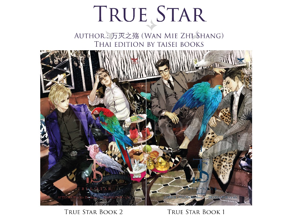 True Star 4 เล่มจบ : Wan Mie Zhi Shang (แปลจีน)