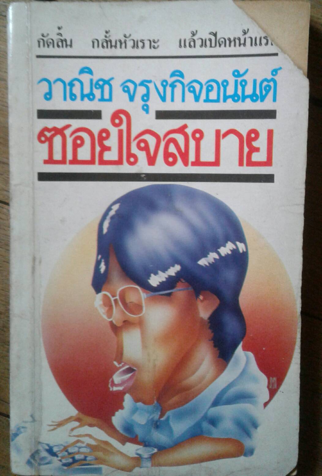 ซอยใจสบาย โดย วาณิช จรุงกิจอนันต์