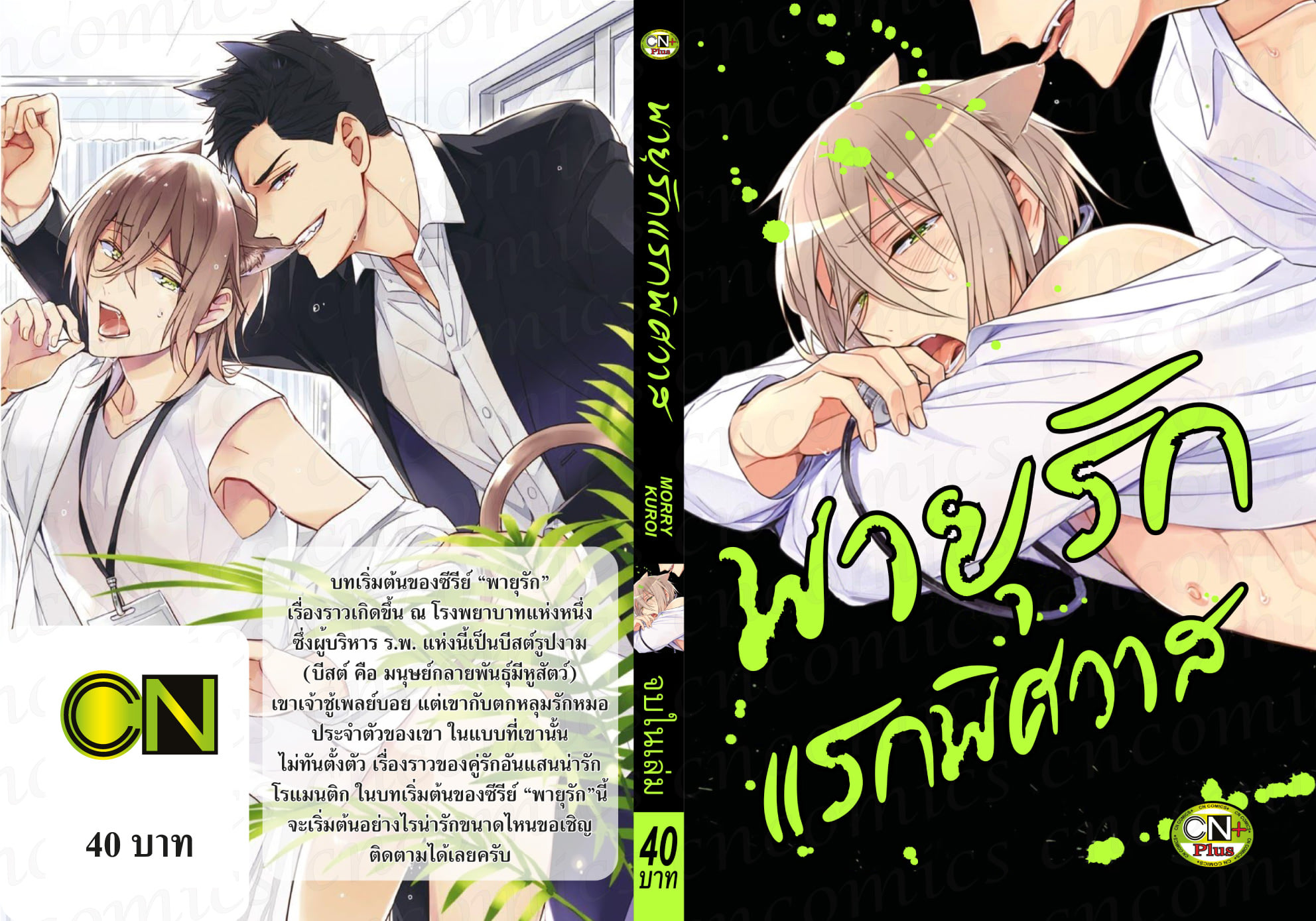 (แยกเล่ม) พายุรัก 5 เล่ม