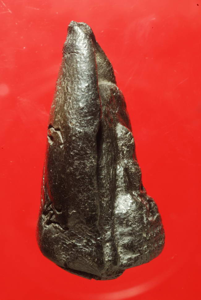 พระกริ่งคลองตะเคียน กรุวัดโคกช้าง อยุธยา เนื้อดิน