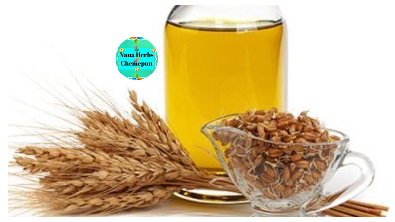 น้ำมันจมูกข้าวสาลี รีไฟน์ Wheat germ Oil-Refined