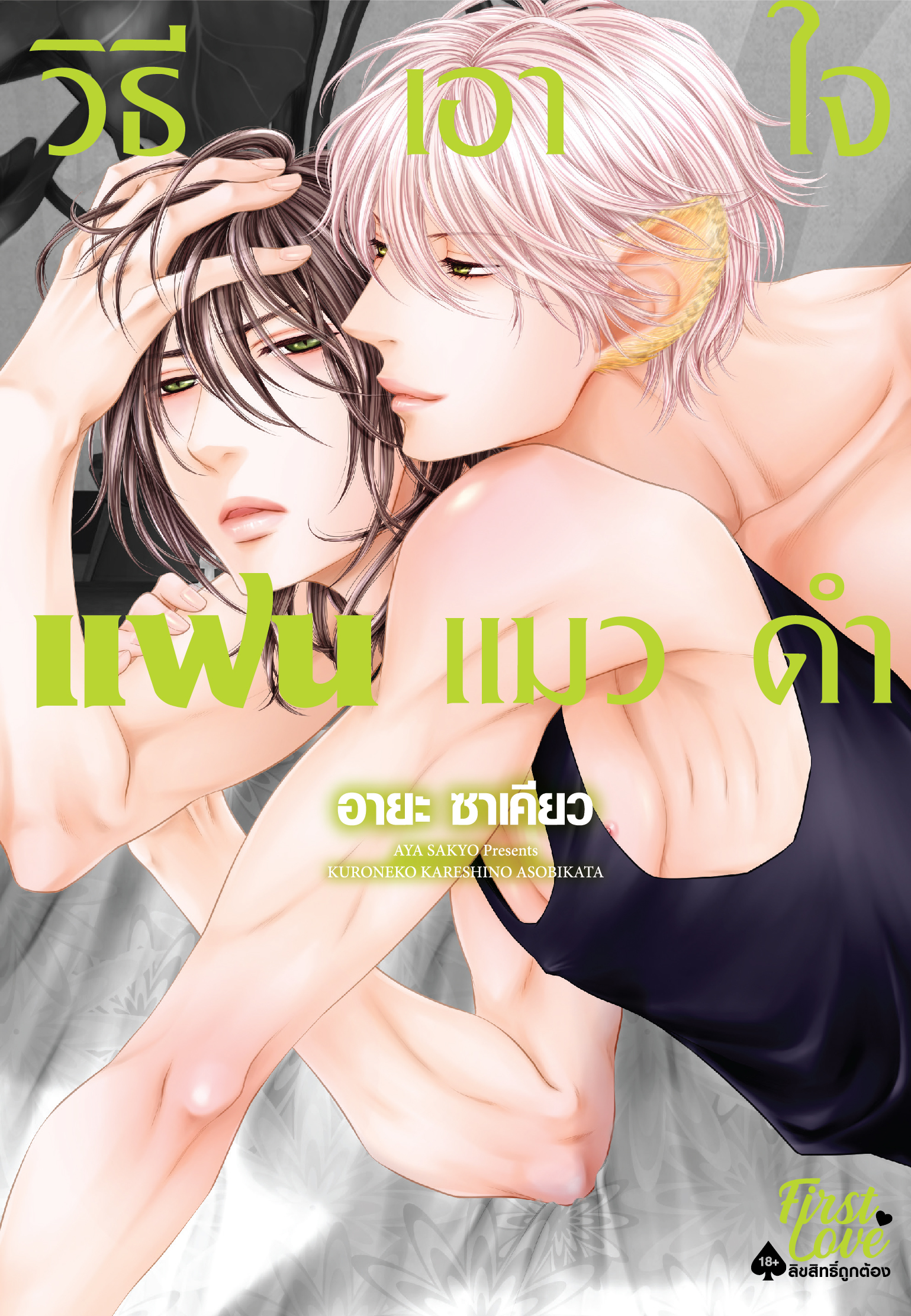 วิธีเอาใจแฟนแมวดำ