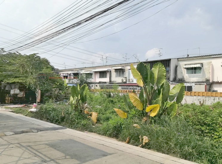 ขายที่ดินเปล่า 158 ตร.ว. หมู่บ้าน พูนสินไพรเวซี่ ถนนเคหะร่มเกล้า 39 แยก 4 ลาดกระบัง - 05569
