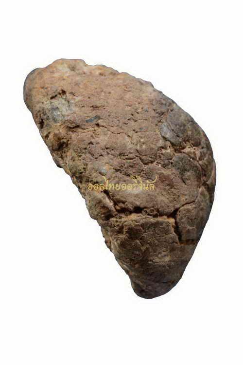 เบี้ยแก้ สมัยอยูธา ยาง3.2เซนติเมตร 62121353