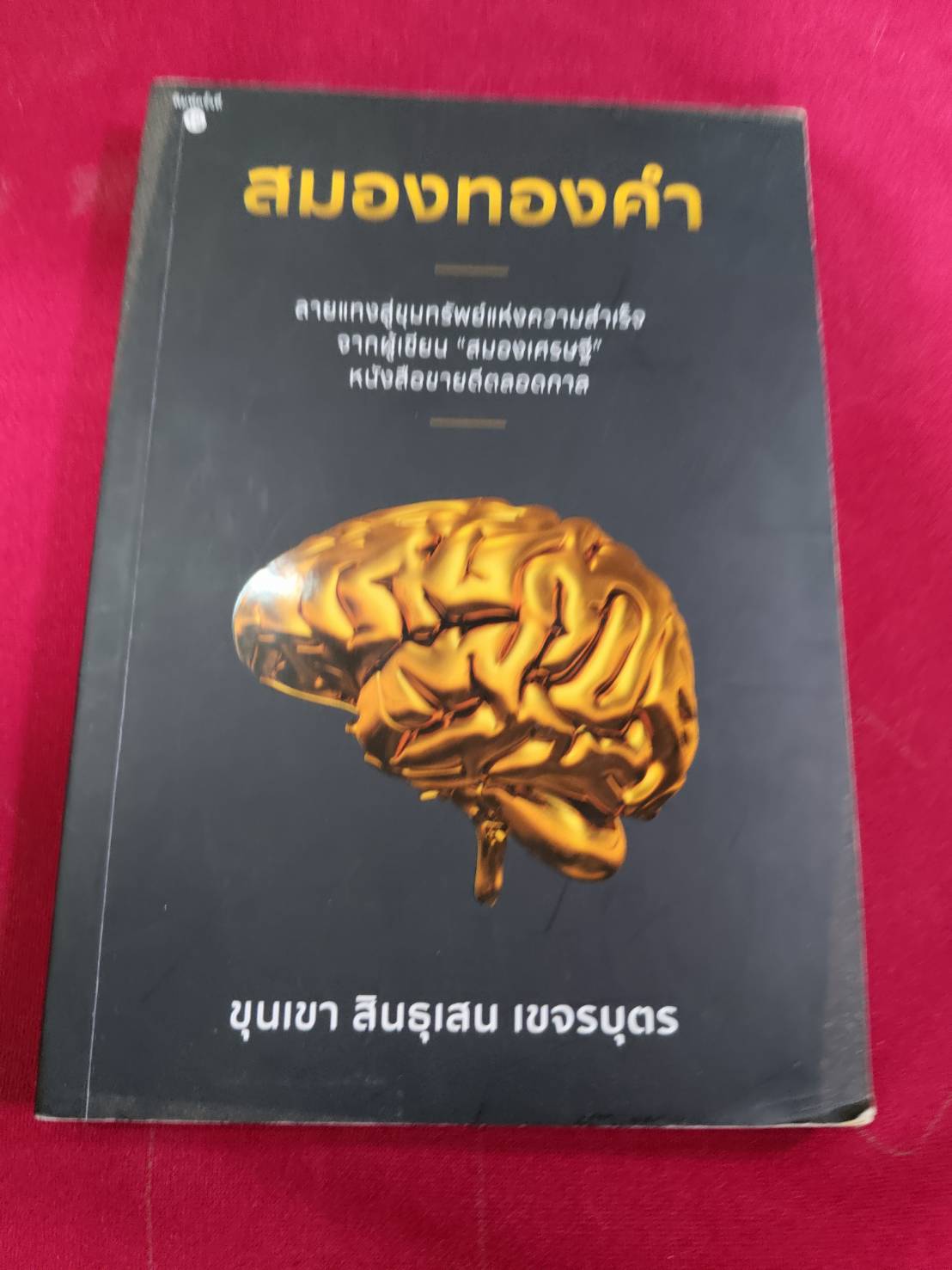 สมองทองคำ ขุนเขา สินธุเสน เขจรบุตร เขียน