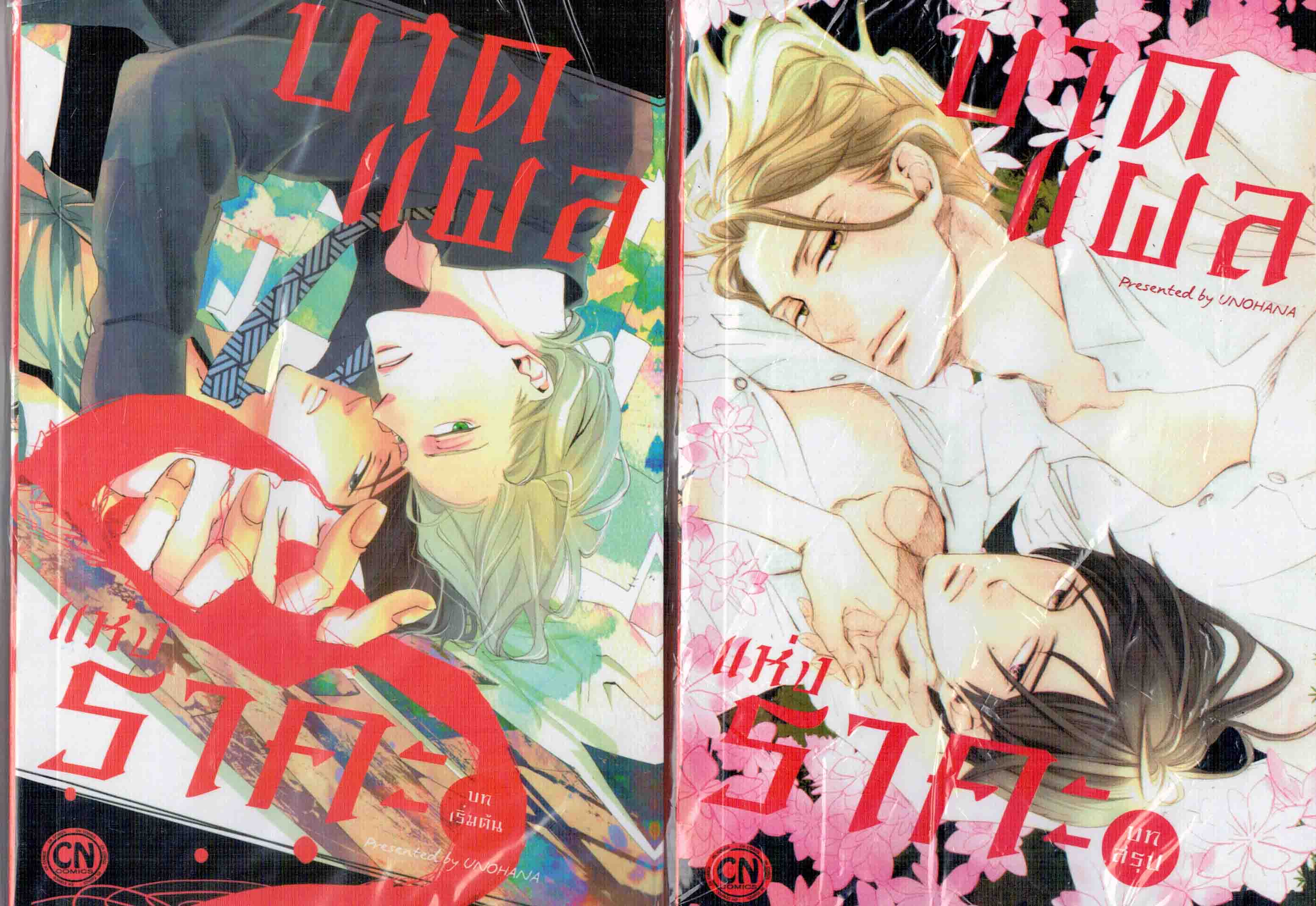 บาดแผลแห่งราคะ 2 เล่มจบ : UNOHANA