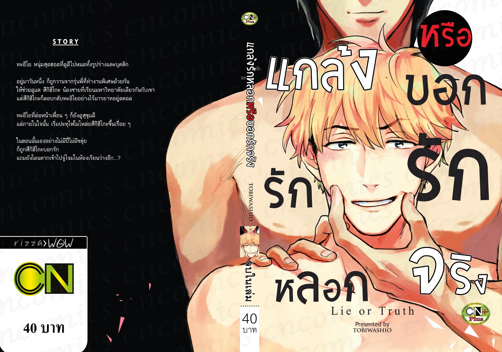 แกล้งรักหลอกหรือบอกรักจริง : TOBIWASHIO