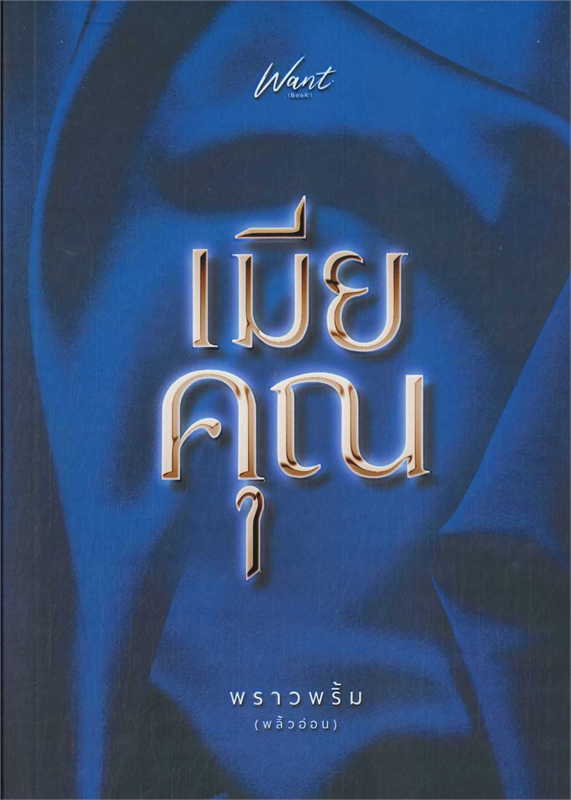 เมียคุณ ผู้เขียน: พราวพริ้ม (พลิ้วอ่อน) หนังสือให้เช่า ประเภท นิยายไทย