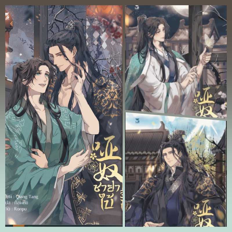 ชุด ชายาใบ้ เล่ม 1-2-3 (วายแปลจีน)