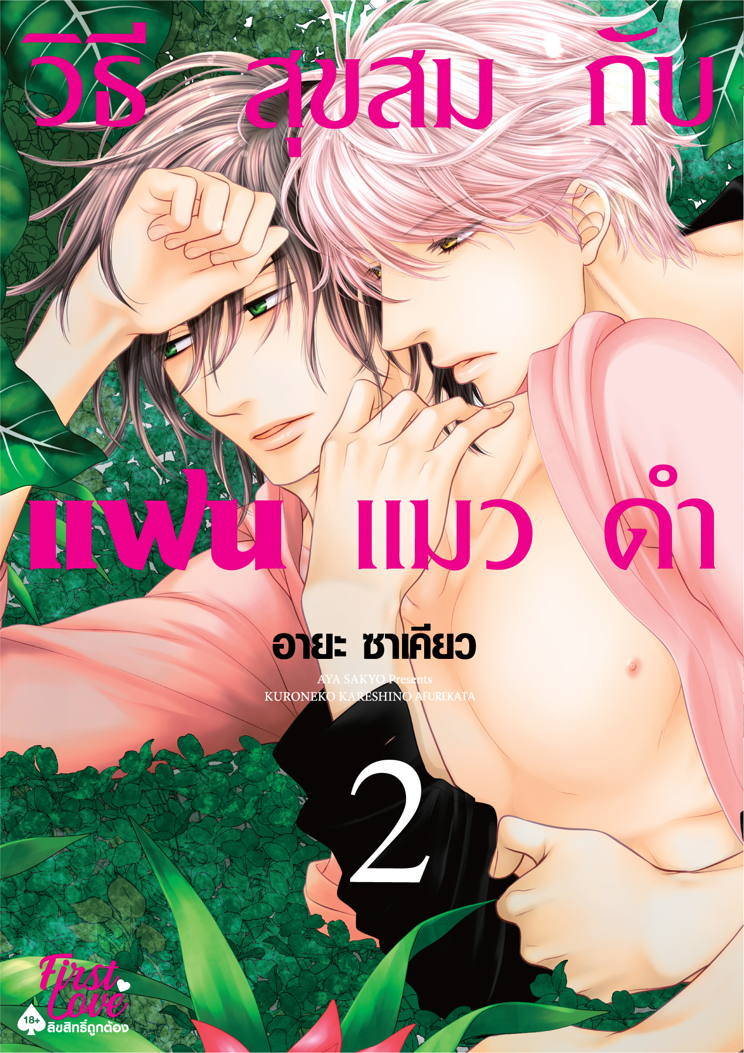 วิธีสุขสมกับแฟนแมวดำ 2