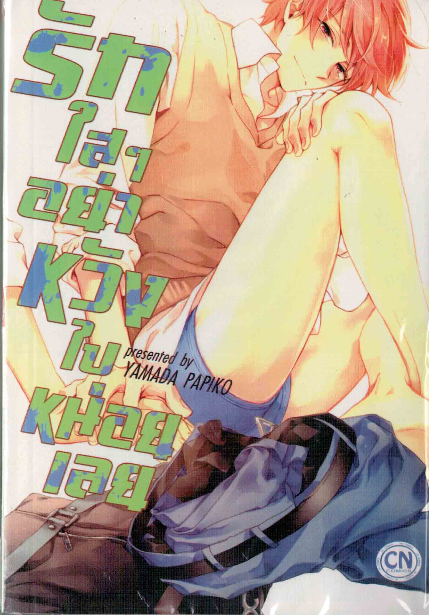 รักใสๆ อย่าหวังไปหน่อยเลย : Yamada Papiko
