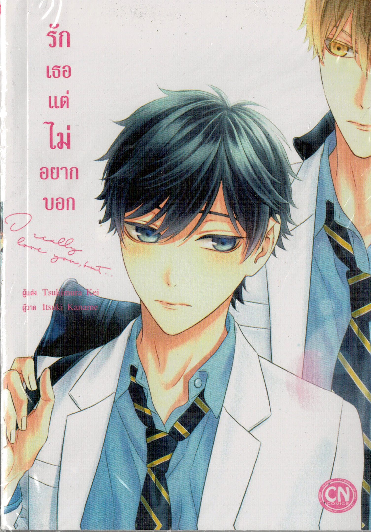 รักเธอแต่ไม่อยากบอก : Tsukimura Kei