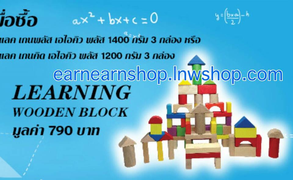 Abbott Learning Wooden block บล็อคไม้สร้างปราสาท (((ส่งฟรี)))