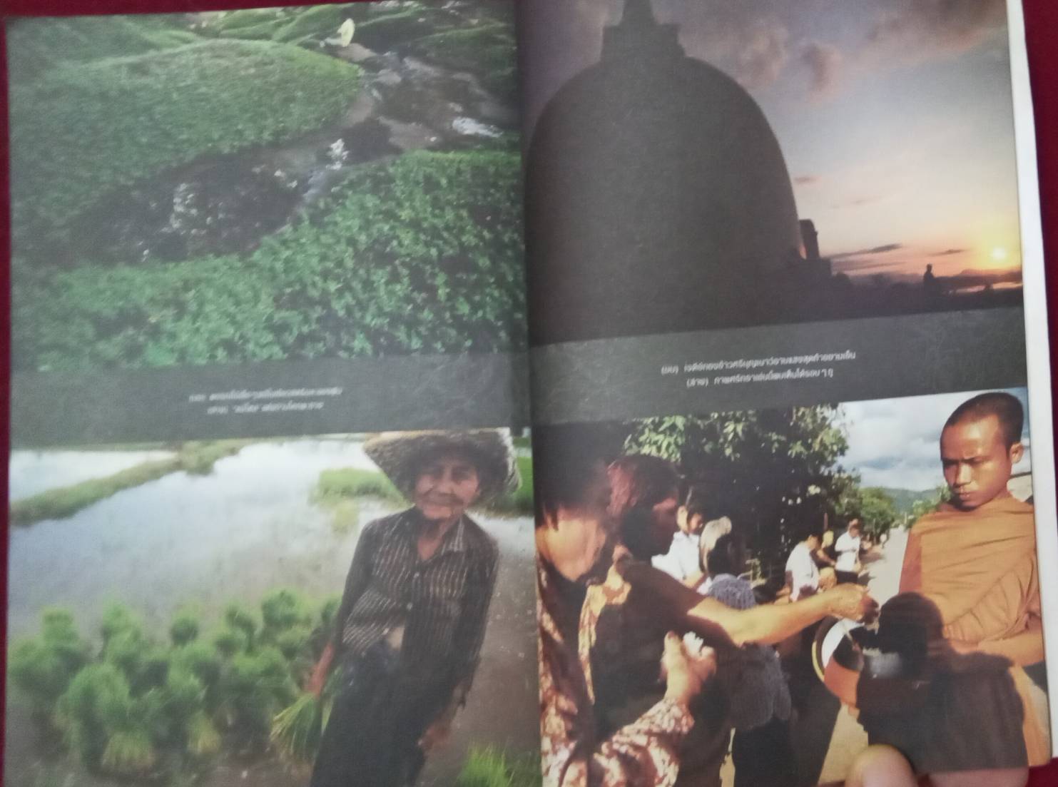 รอยเท้าบนภูเขา : ธเนศ งามสม