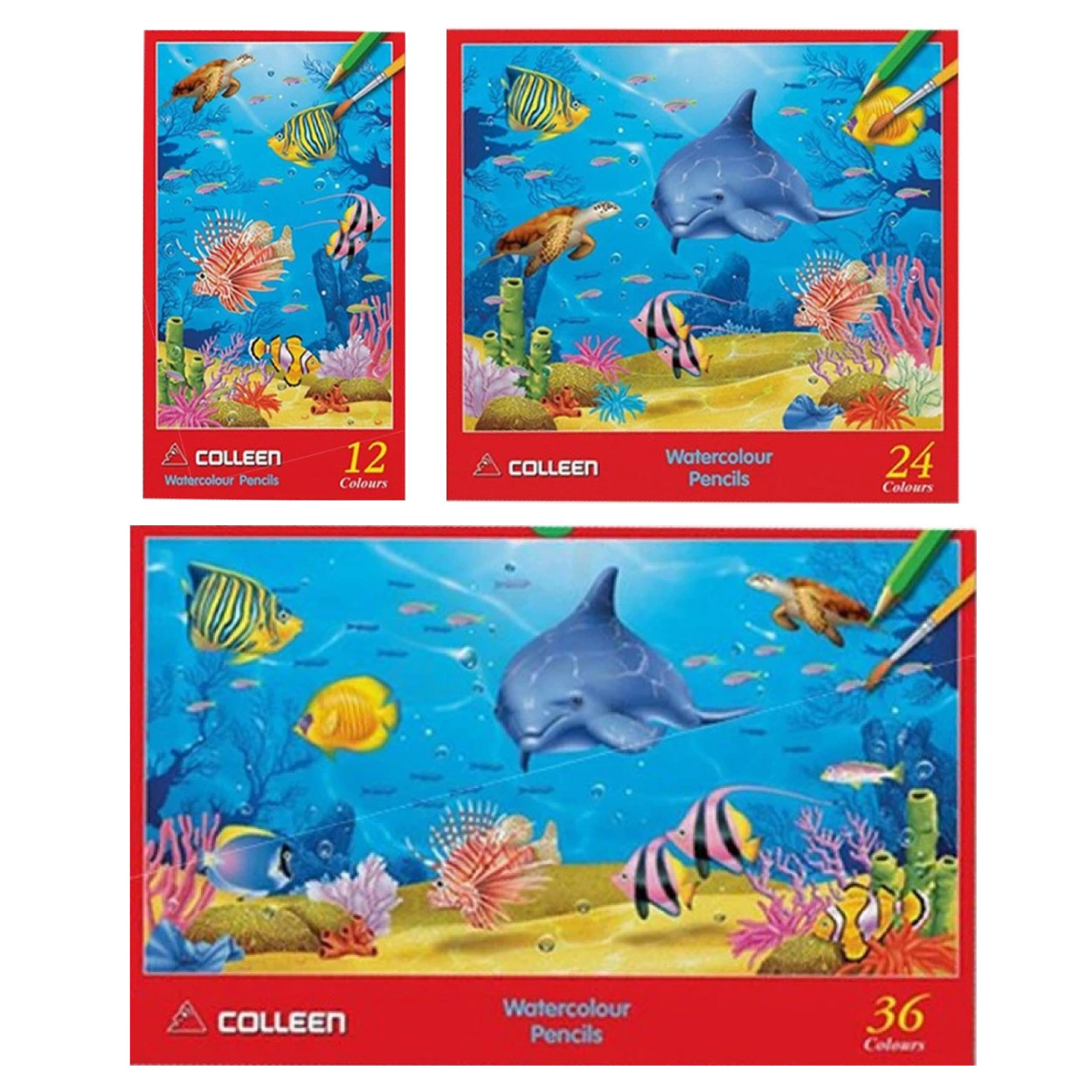 สีไม้ระบายน้ำ คอลลีน COLLEEN Watercolour Pencil 12 / 24 / 36 สี