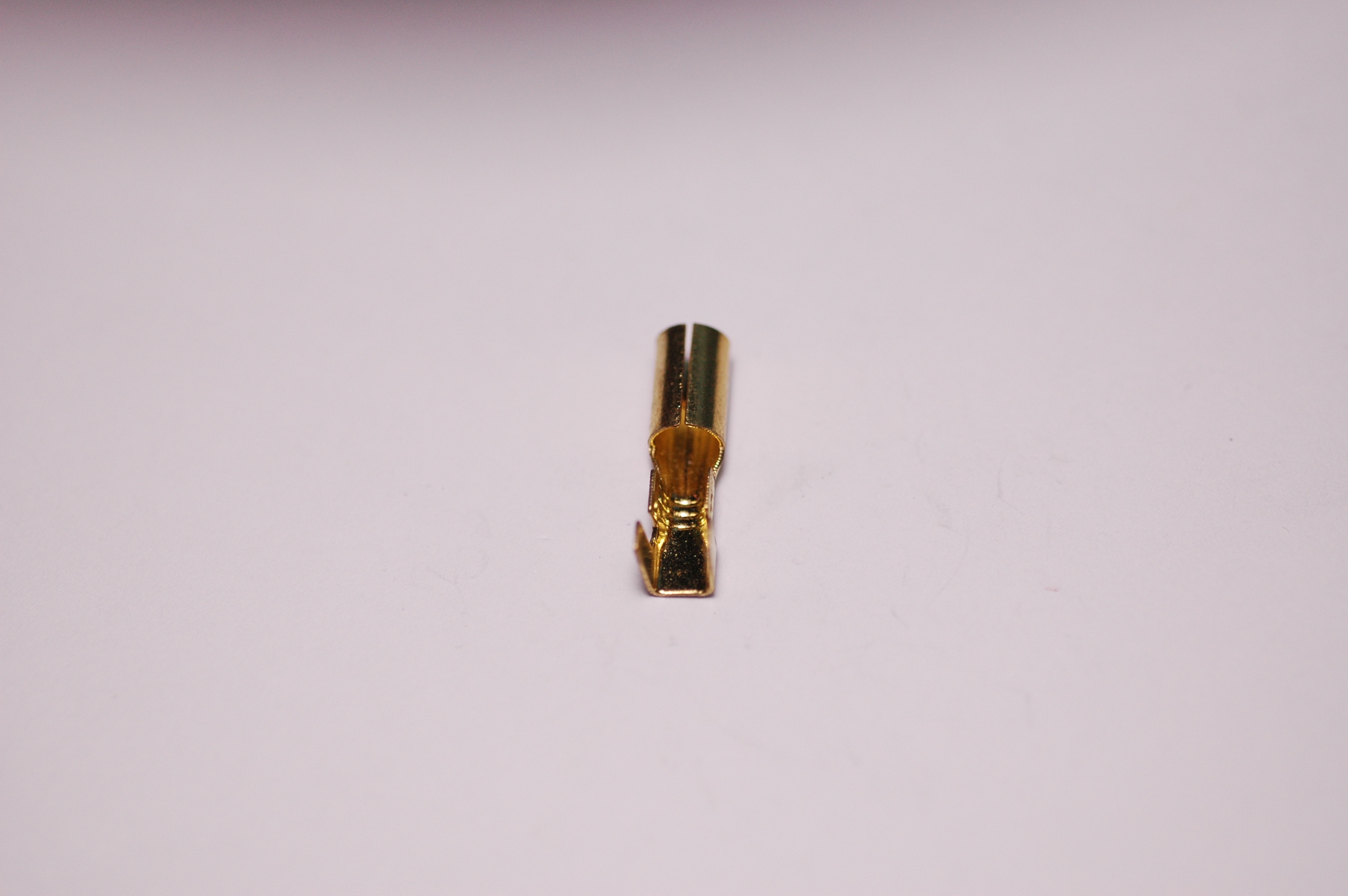 หางปลาเสียบกลม ตัวเมีย ทองเหลือง