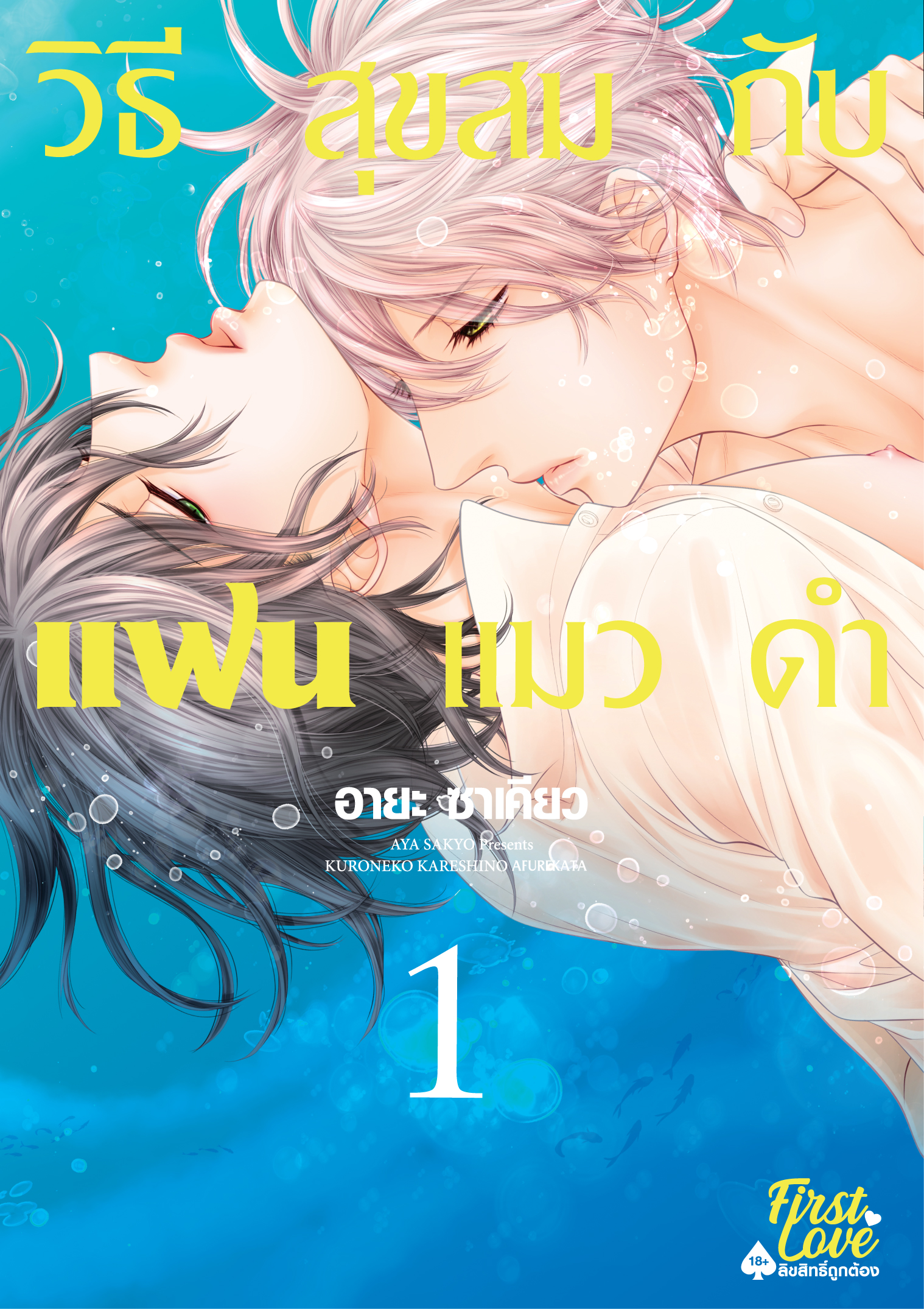 วิธีสุขสมกับแฟนแมวดำ เล่ม 1
