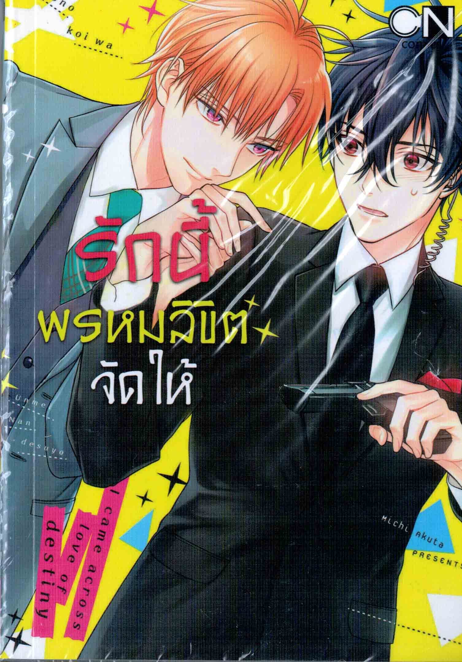 รักนี้พรหมลิขิตจัดให้ : Michi Akuta